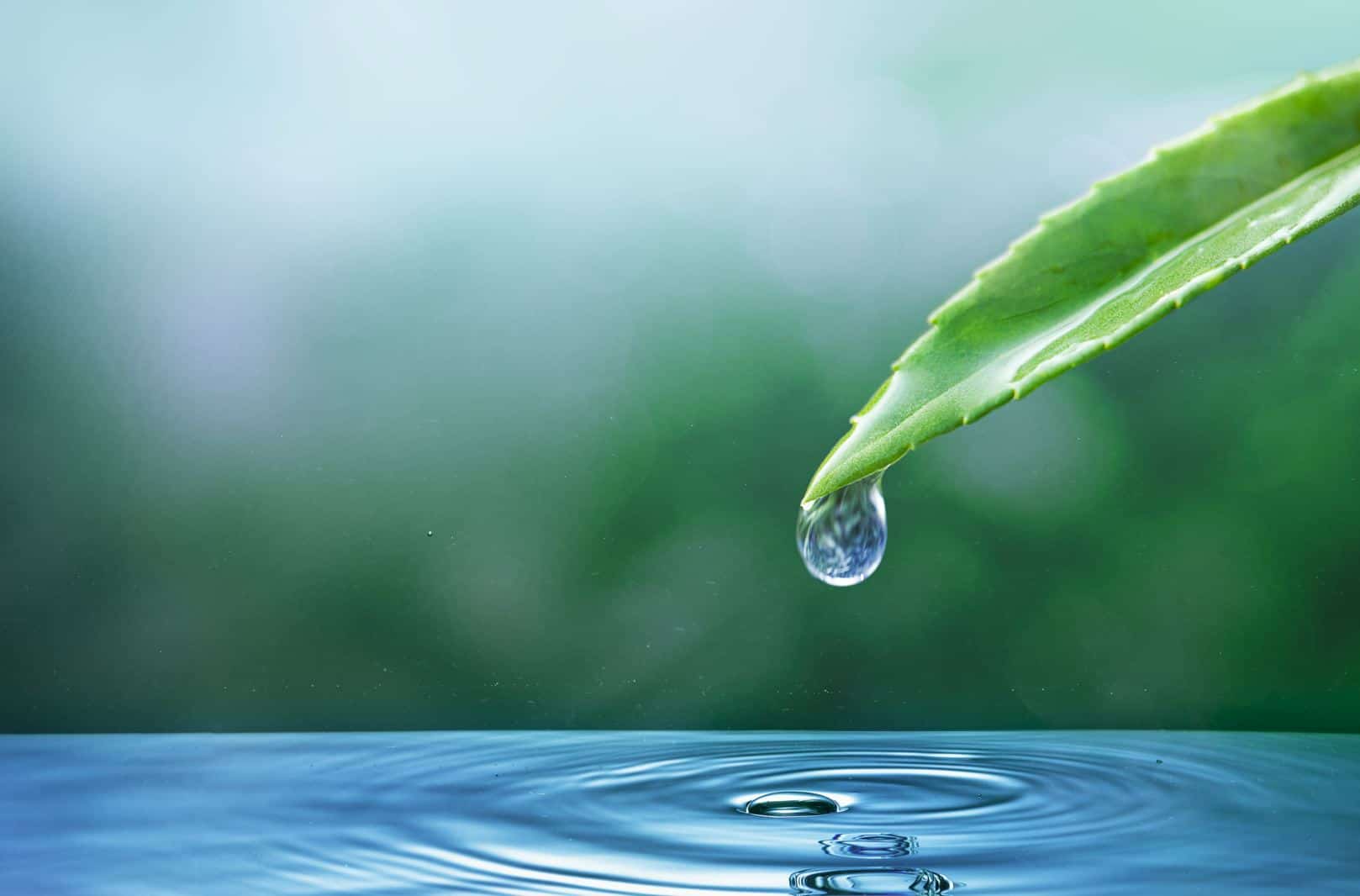 RPS&nbsp;: comment les prévenir