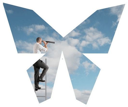 Fond d'écran papillon